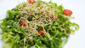 germinados ensalada