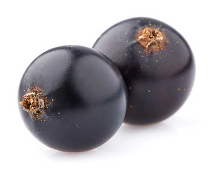 grosella negra fruto