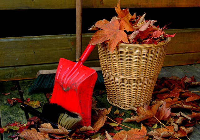 Cultivos de otoño ¿que tenemos que hacer en nuestra Huerta?